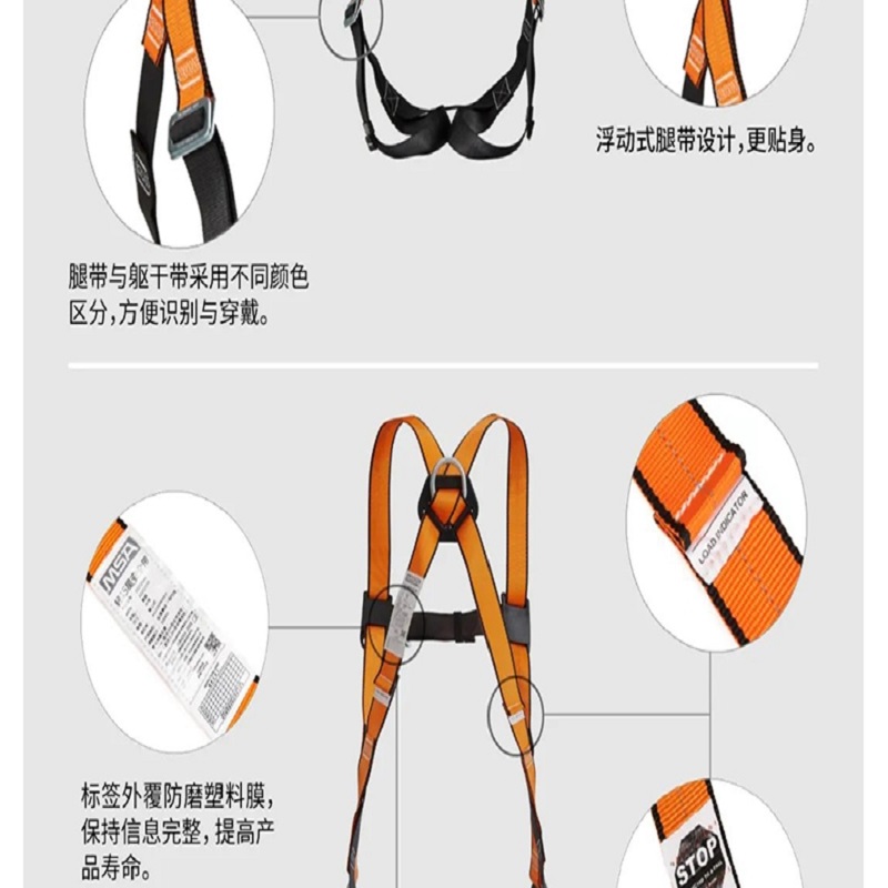 中号