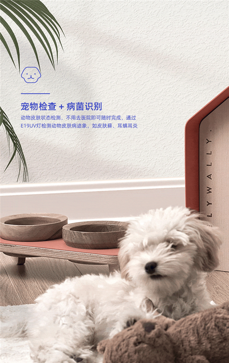 务本（WUBEN）E19UV紫外光365nm功率850mW UV笔形灯-AAA电池