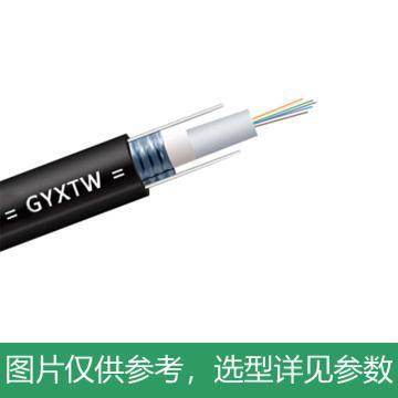 海乐 36芯单模室外铠装光纤，HT210-36SC，1000米/卷