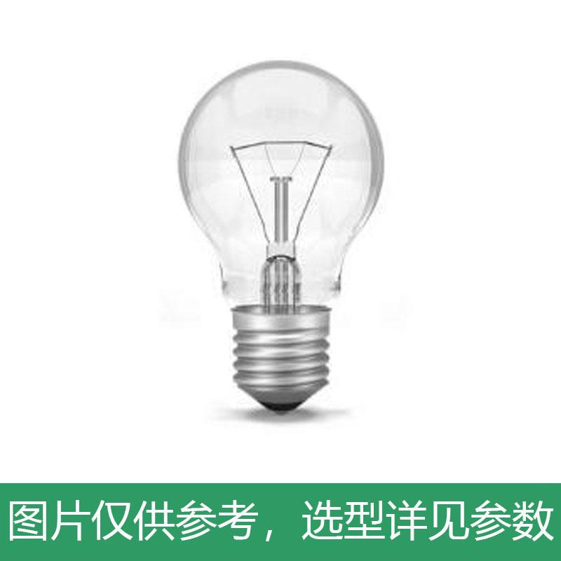 白炽灯泡 36V 100W E27 球形 (100倍数下单）， 单位：个