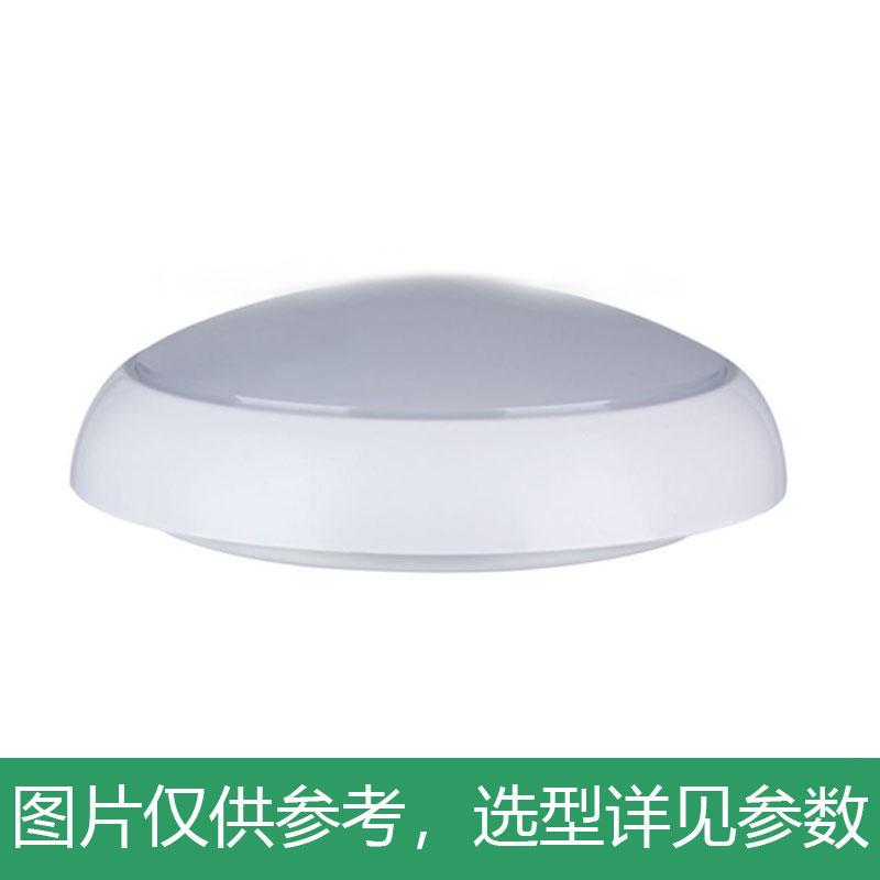 永鑫瑞 LED吸顶灯，30W白光，YXR-CL-30W-A-HS，Φ330×100mm，吸顶式，单位：个