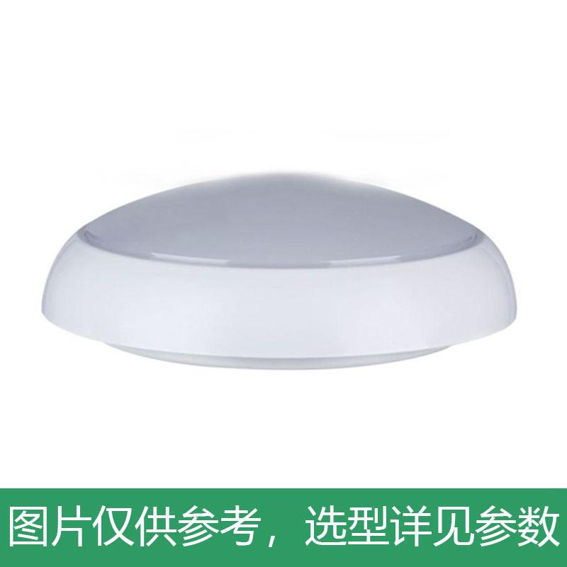 永鑫瑞 LED吸顶灯，20W白光，YXR-CL-20W-A-HS，Φ275×90mm，吸顶式，单位：个