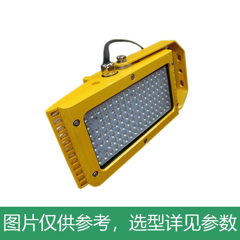 尚为 LED应急泛光灯，SZSW7350E-80W，不含安装附件，单位：个