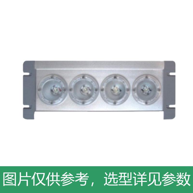 新曙光 LED应急灯，4W，白光，NPE4013，壁装，单位：个