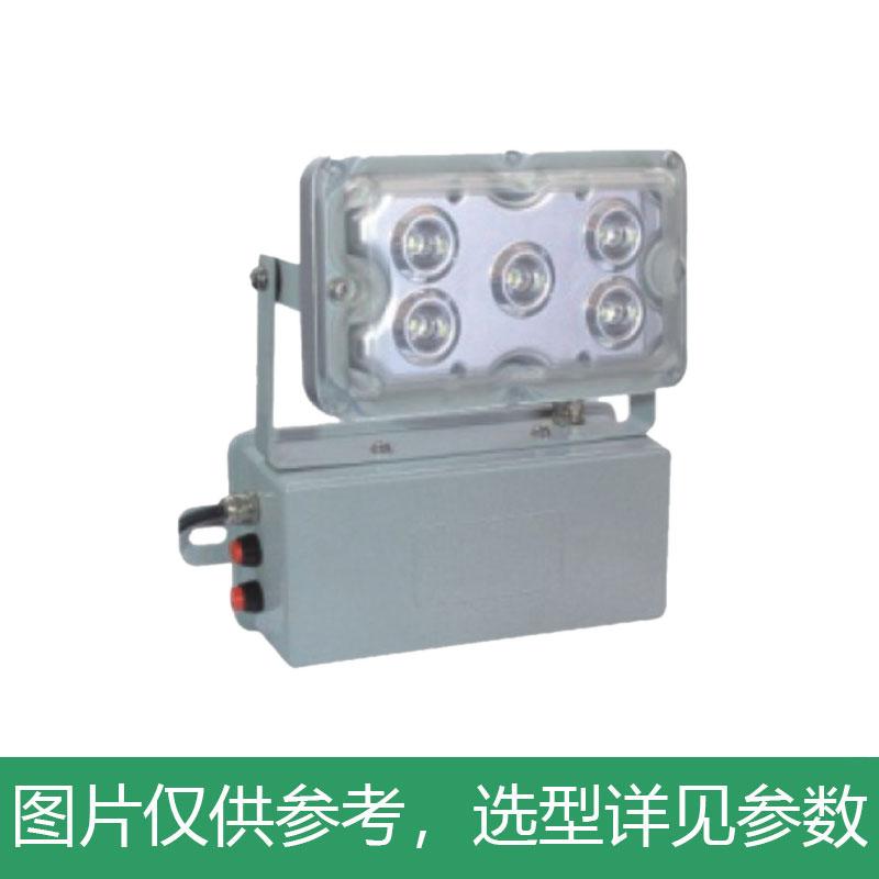 新曙光 LED应急灯，5W，白光，NPE4012，壁装，单位：个