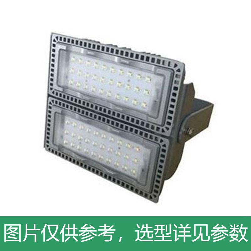 海洋王 NTC9280-200W LED投光灯，单位：个