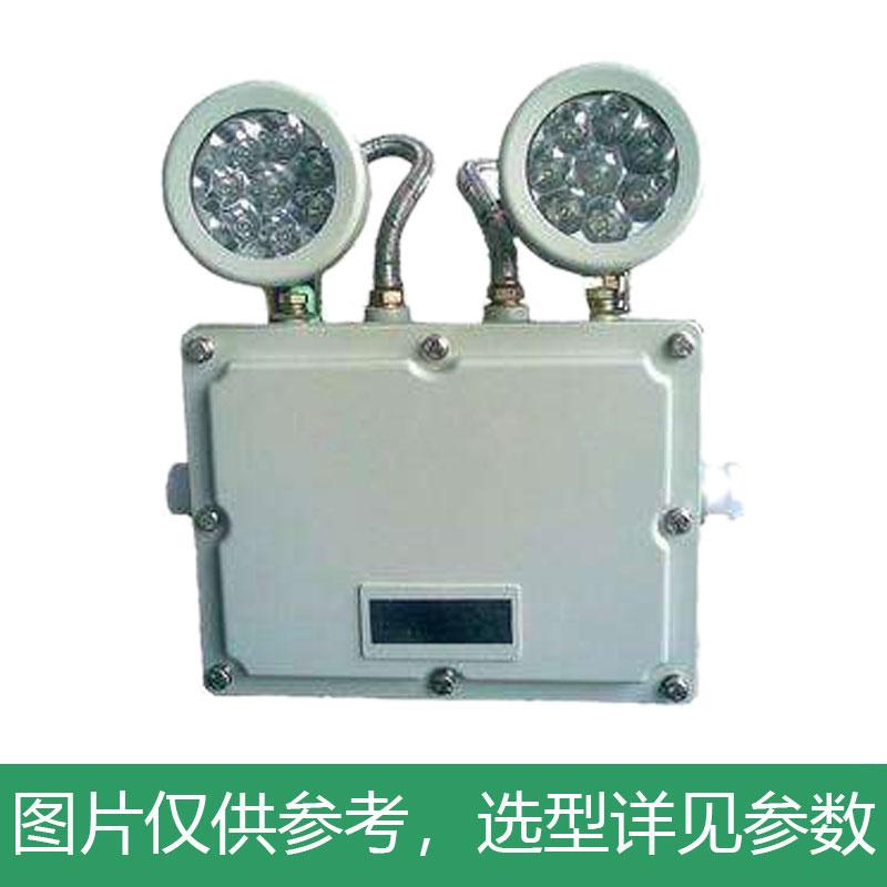 雷发照明 LED防爆双头应急灯，2*5W，白光，LFB-205-08X，180°配光，应急时间90min，单位：套