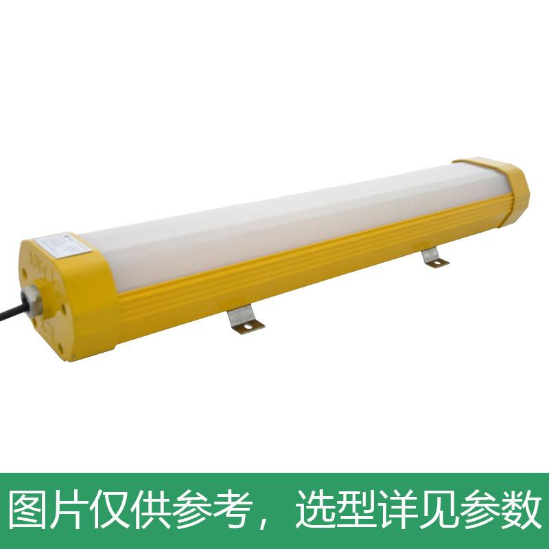 凯瑞 防爆支架灯，50W，白光，KLE1011-50W-600mm，吸顶式，单位：个