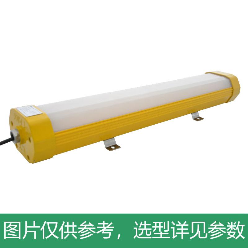 凯瑞 防爆支架灯，50W，白光，KLE1011-50W-YJ-600mm，应急90分钟，吸顶式，单位：个