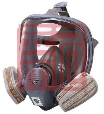 宁阳双箭龙SJL600防毒全面具