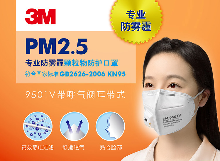 3M PM2.5颗粒物防护口罩 9501V 3个/包 80包/箱