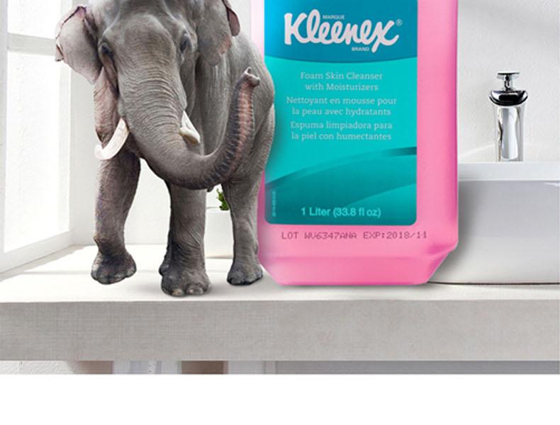 KIMBERLY-CLARK/金佰利 91552洗手液 舒洁深层保湿泡沫洗手液