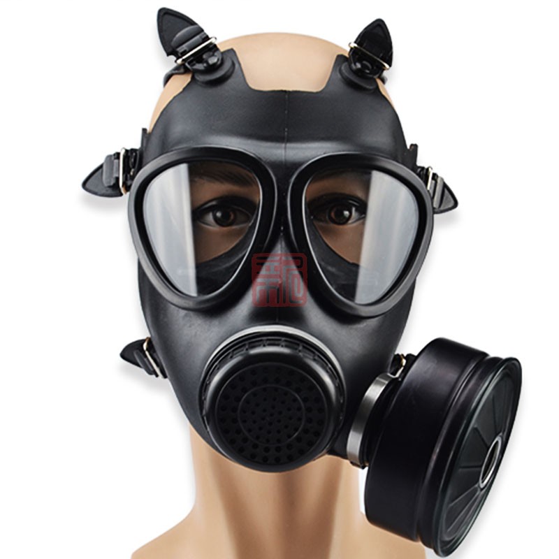 邦固牌10104MF11B型防毒面具(配综合滤毒罐)
