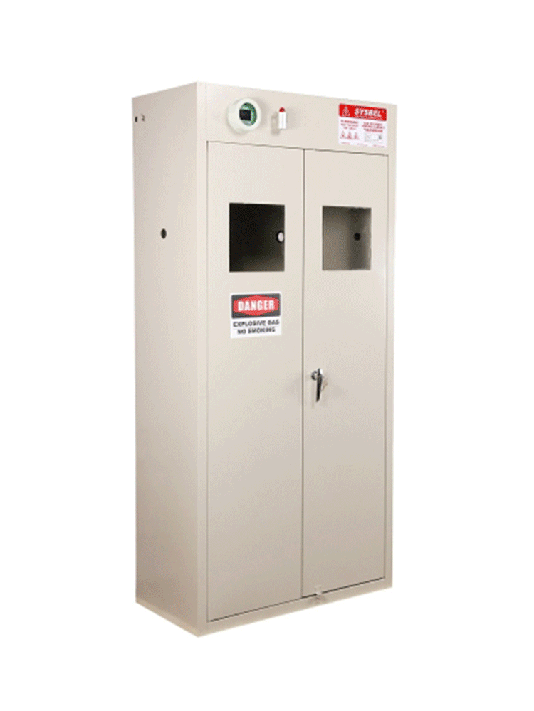 SYSBEL/西斯贝尔 WA710102 钢制智能气瓶柜