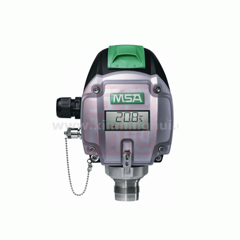 MSA/梅思安 10123774 PrimaX I 本安基本型气体探测器（H2S 100ppm） - 梅思安
