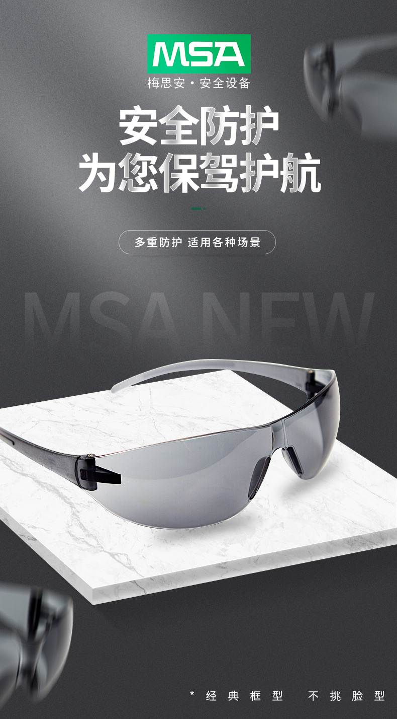 MSA/梅思安 9913278 百固-G防护眼镜
