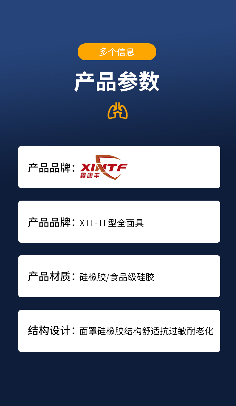 鑫唐丰 XTF-TL型全面具