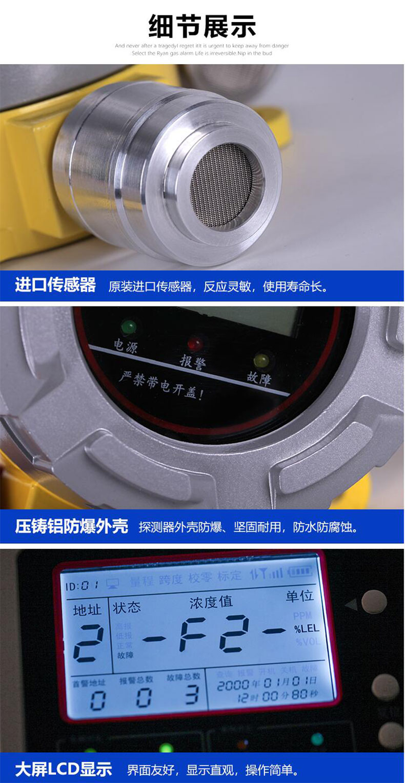 瑞安氧气报警器 RBT-6000-ZLGX/B 带显示屏 带声光报警