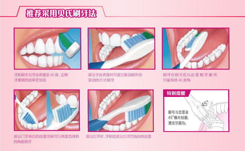 狮王 细齿洁靓龈牙刷 单支装