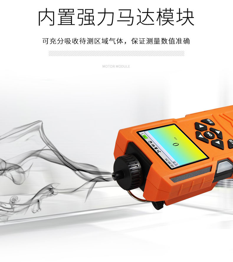 艾科思 X-1（BX） 单一便携泵吸式氧气O2检测仪