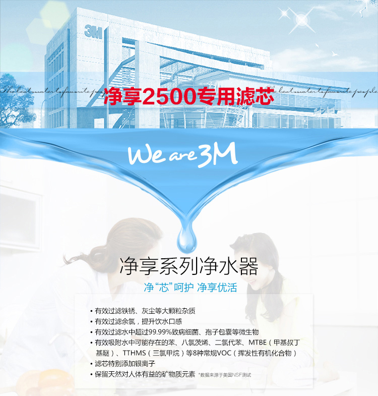3M DWS2500-C-CN型替换滤芯