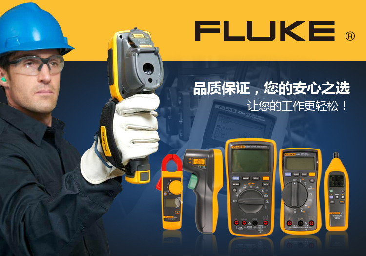 福禄克（FLUKE) F317 数字钳形万用表