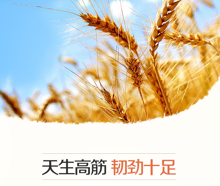 香满园饺子用小麦粉5KG