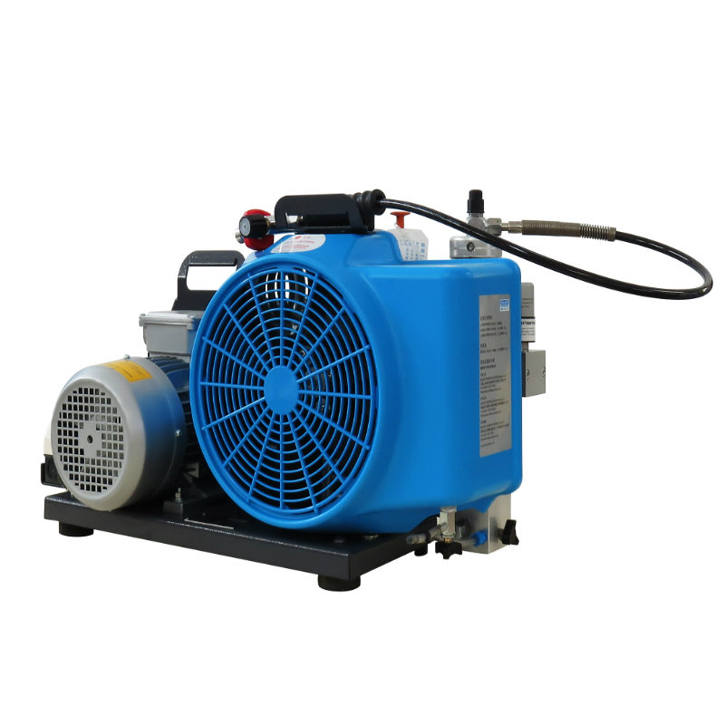 梅思安 10181242 100TW高压呼吸空气压缩机单相电机（代替9960028）