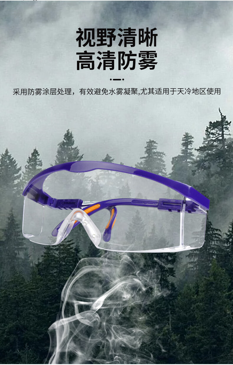 霍尼韦尔 100100 S200A防雾防刮擦防护眼镜-蓝色