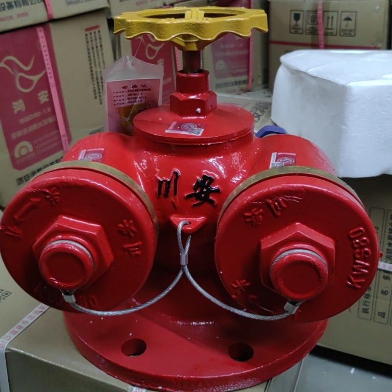 川安 SQD100-1.6 水泵接合器