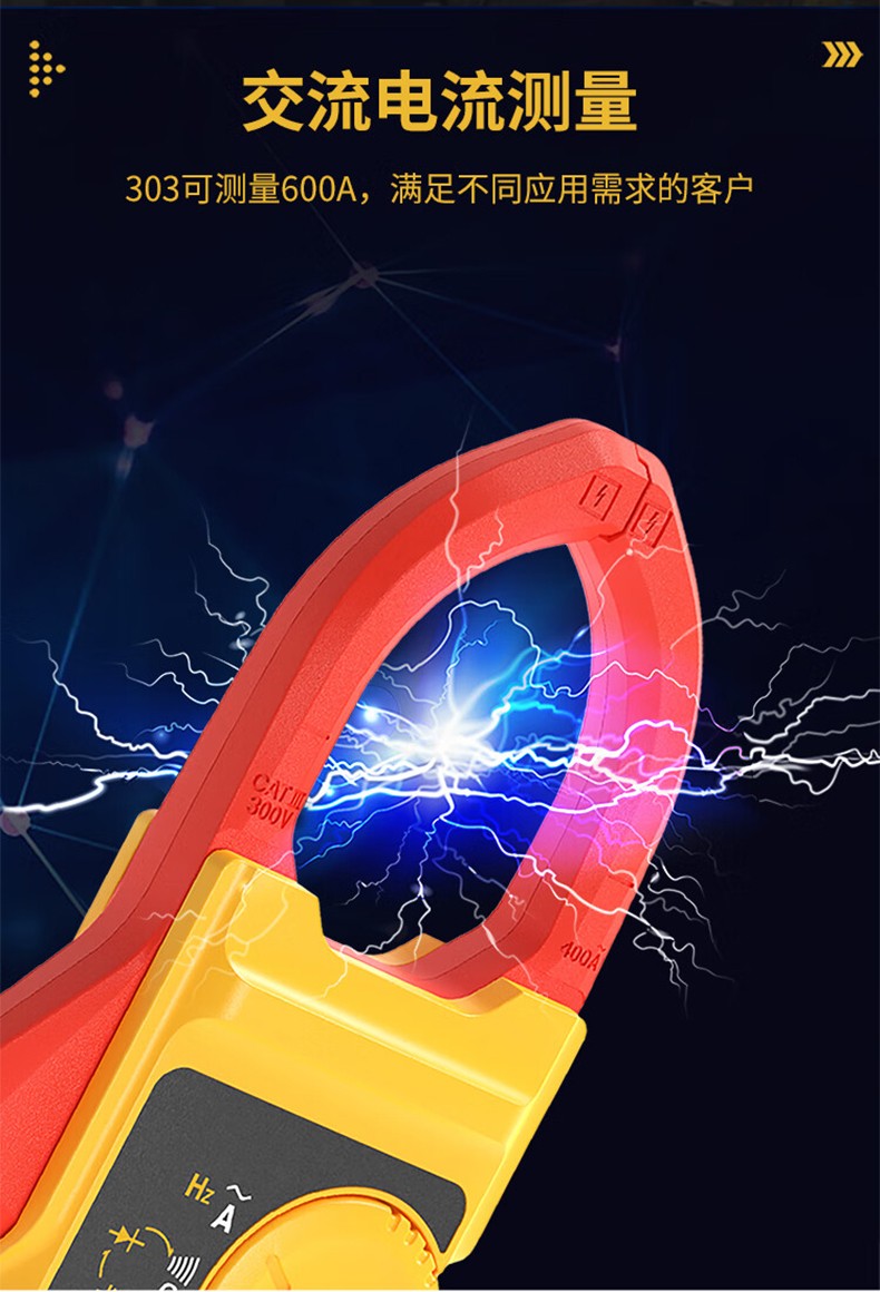 福禄克 FLUKE-303 钳形表-0.1A