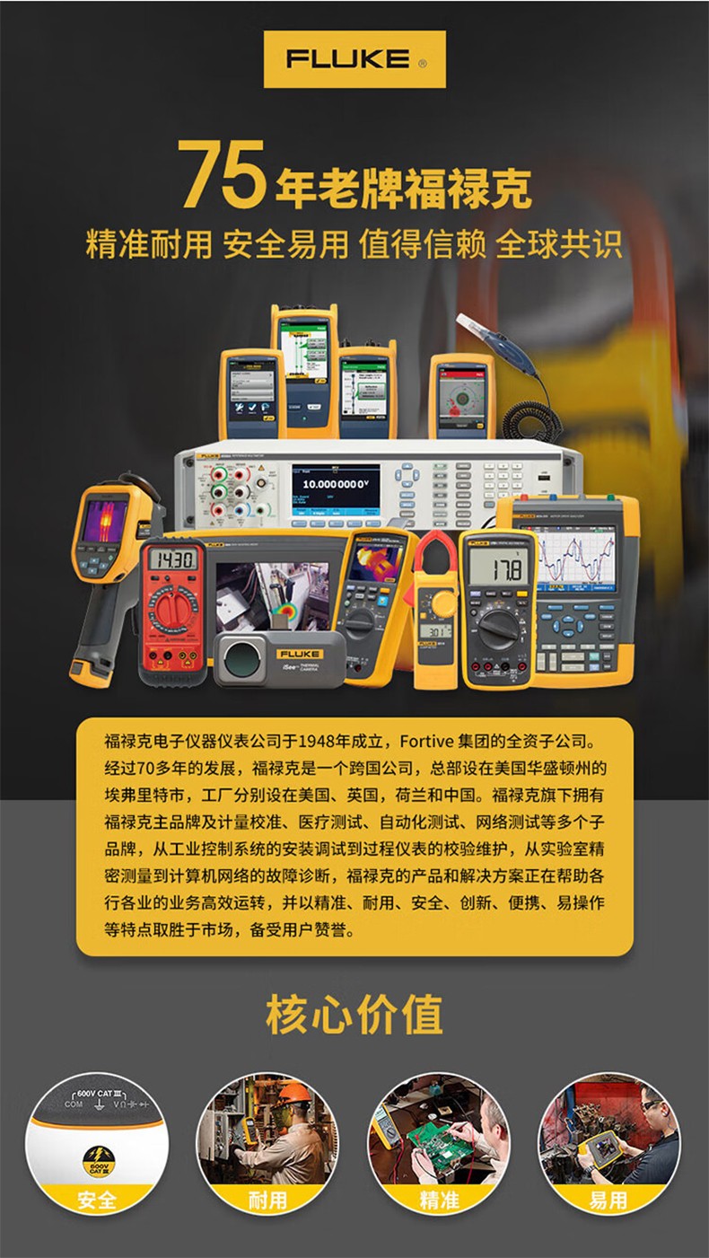 福禄克 FLUKE-303 钳形表-0.1A