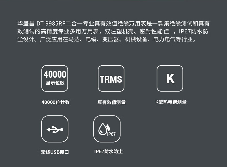 华盛昌 DT-9985RF 电阻测试仪-1000V