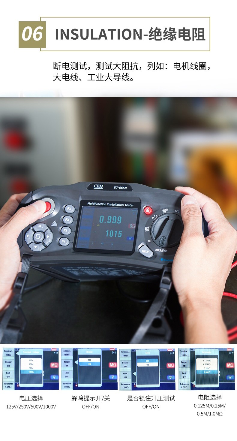 华盛昌 DT-6650 电性能综合测试仪-1000V