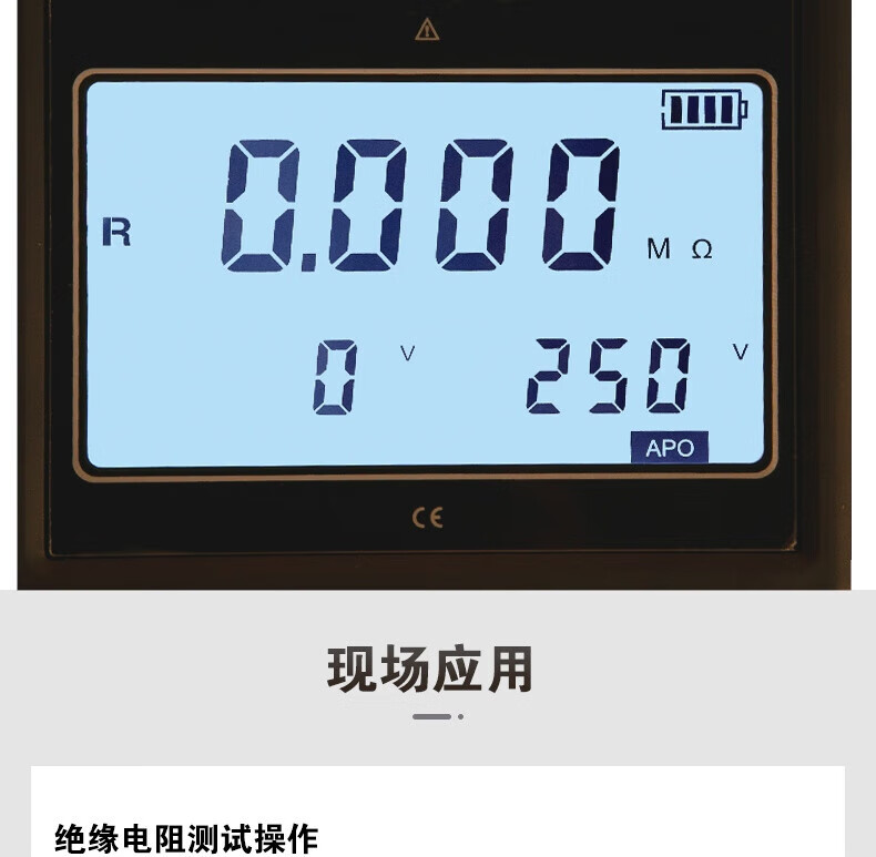 华盛昌 DT-VH510 高压绝缘电阻测试仪-1000V 