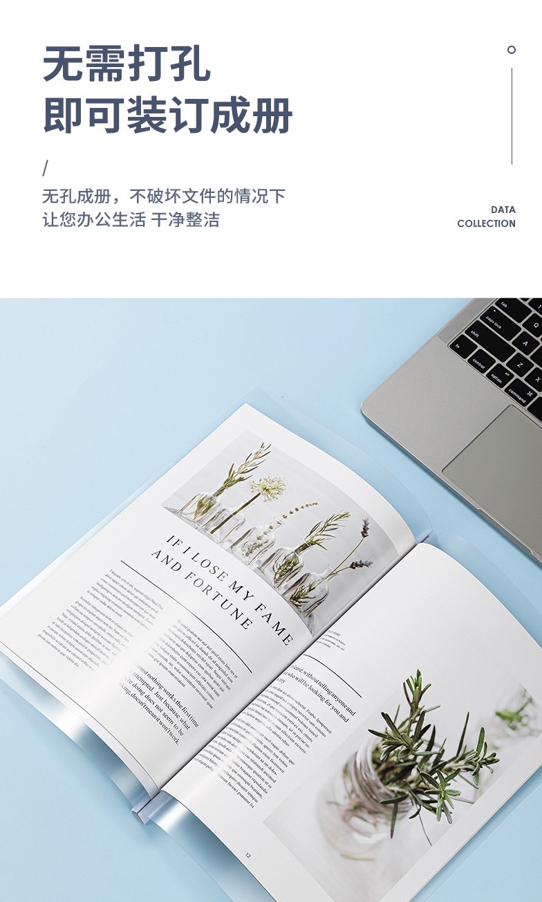 得力 5532 抽杆夹 5只/包（单位:包） 混色