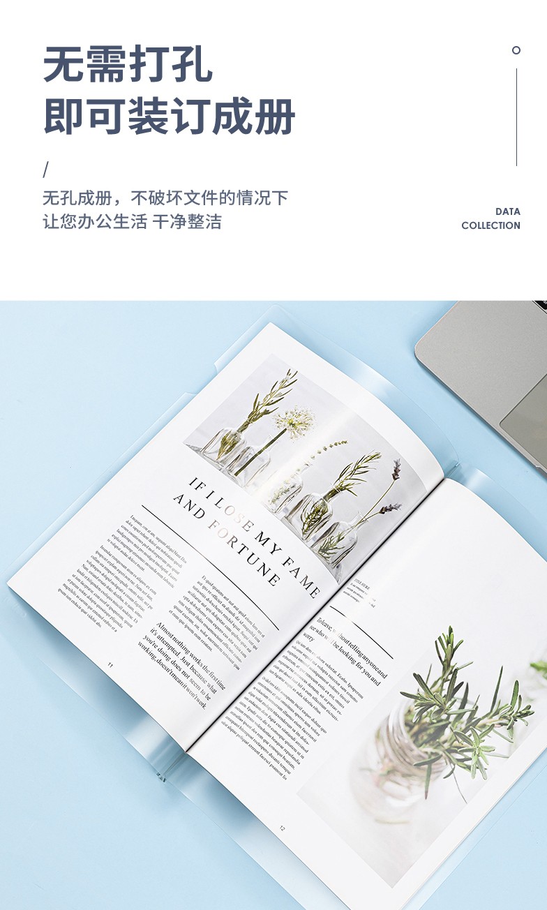 得力 5536 218*310mm抽杆夹 5只/包 (单位:包) 混色
