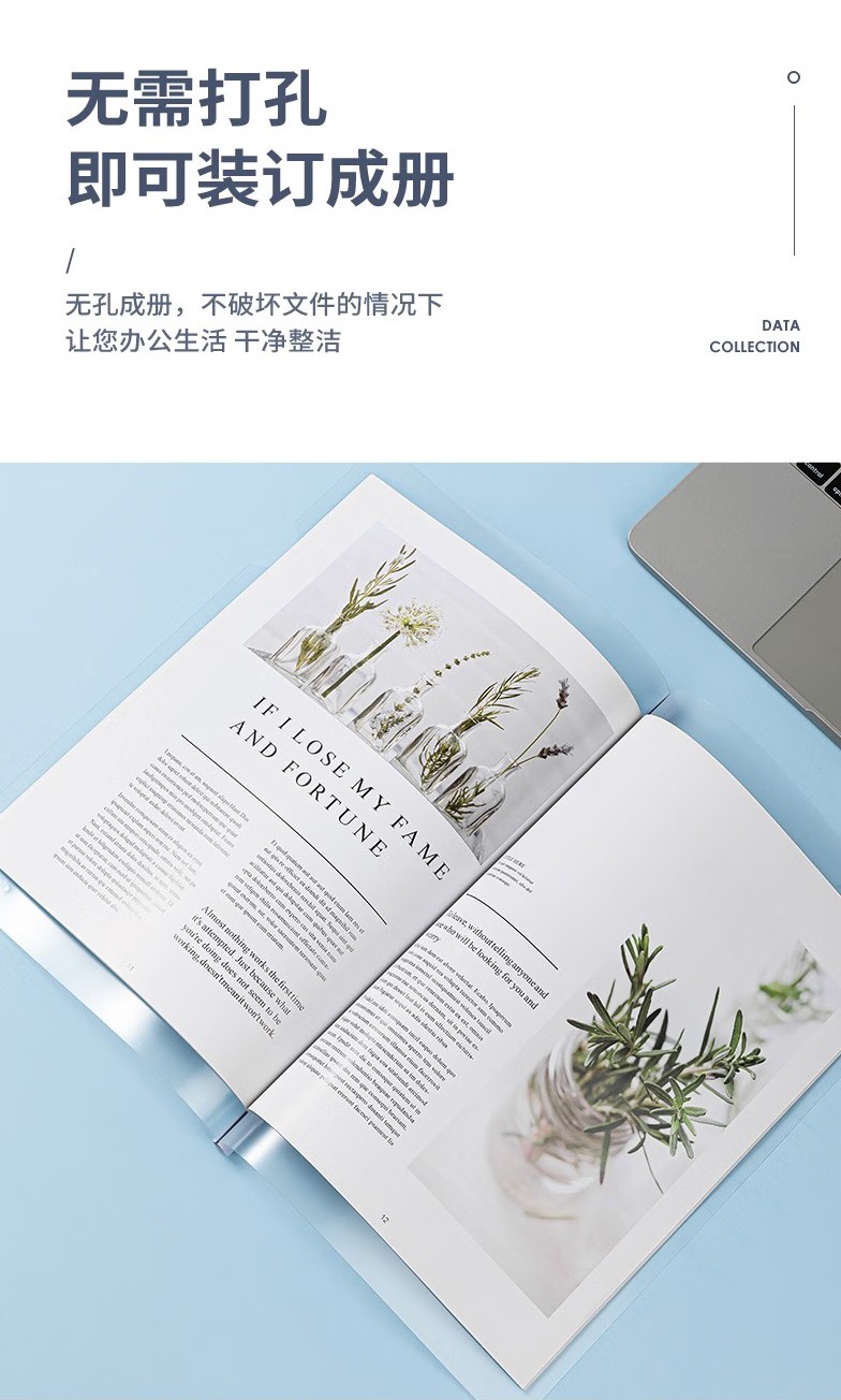 得力 5538 抽杆夹（单位:只） 混色