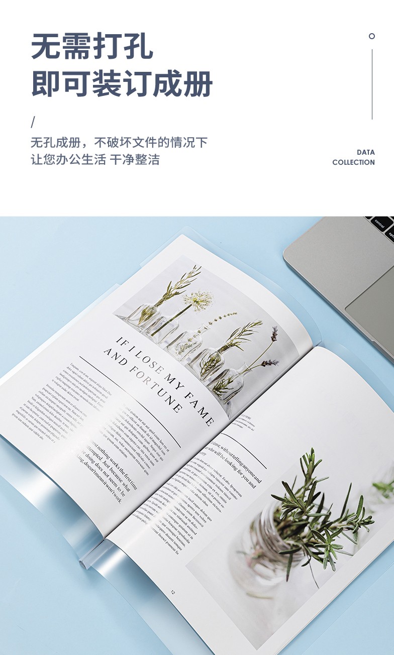 得力 5539 抽杆夹 5只/包 （单位:包） 混色