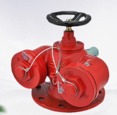 淇兴源 消防水泵接合器消防水泵接合器 SQS100-1.6-SQD100-1.6
