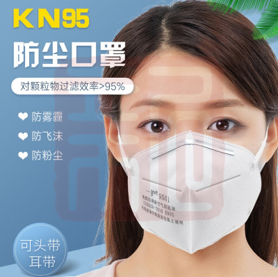 一护 9501 折叠式口罩KN95-耳戴式