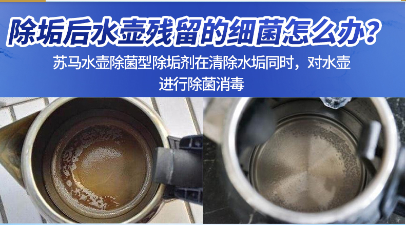 泰华施 101103651 苏马水壶除菌型除垢剂-5L