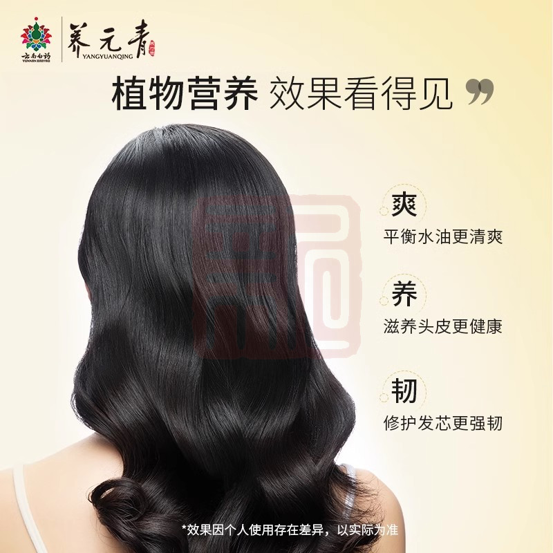 养元青 6901070606663 头皮护理洗发水净澈养护浓纯姜芬香型-500ml