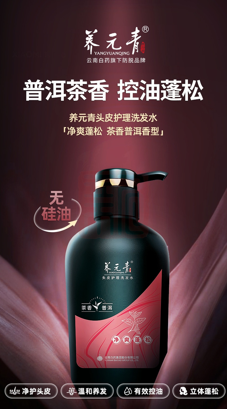 养元青 6901070606670 头皮护理洗发水净爽蓬松茶香普洱香型-500ml