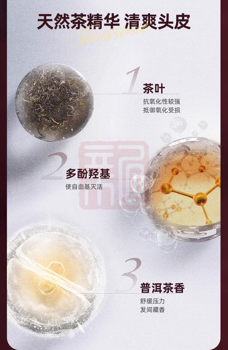 养元青 6901070606670 头皮护理洗发水净爽蓬松茶香普洱香型-500ml