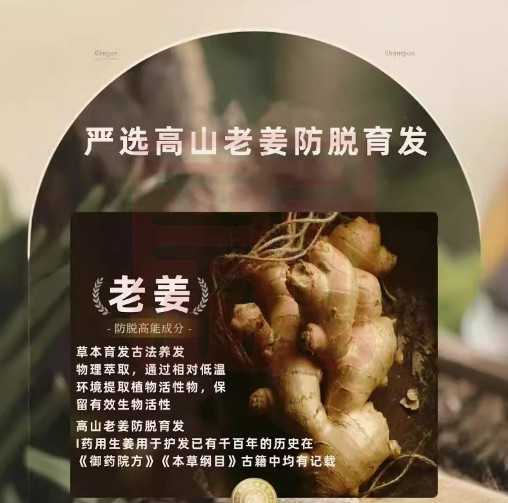 三个魔发匠 6976218860214 XINQI老姜防脱育发控油洗发乳-200ml