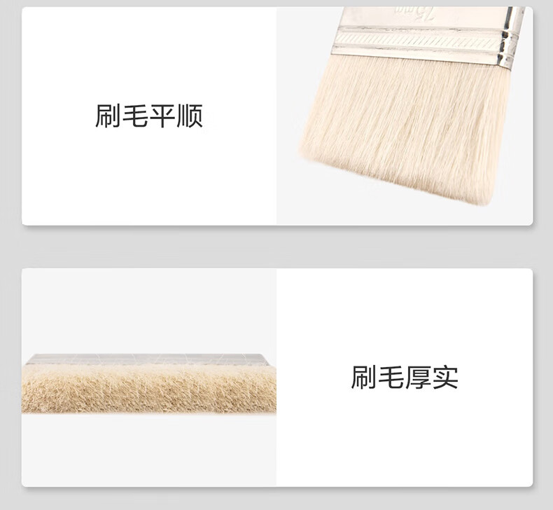 得力 DL528102 2寸毛刷羊毛刷(白)