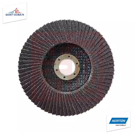 专家 69957342940 诺顿弹性磨盘100*16*60# 90网盖(16.5公斤/箱)（0455-1）-黑色