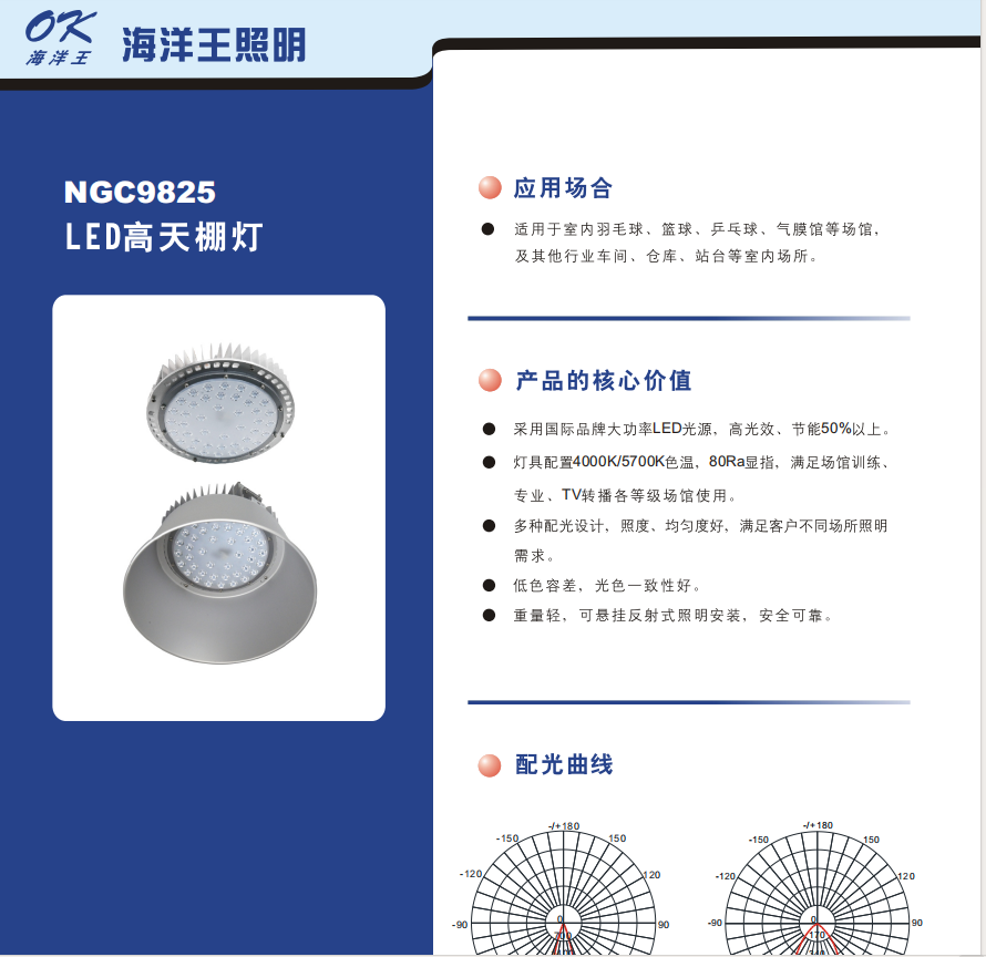 海洋王 NGC9825 LED高天棚灯-个