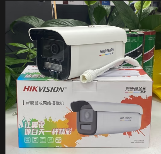 海康威视 DS-2CD3T67SWDV3-L(4mm)  日夜臻全彩600万2.0高清拾音摄像头-个